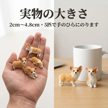 NICOMO コーギー置物