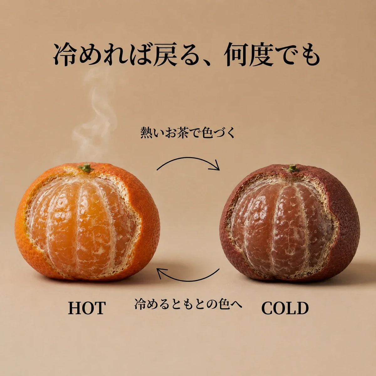 NICOMO 変色茶寵 みかん