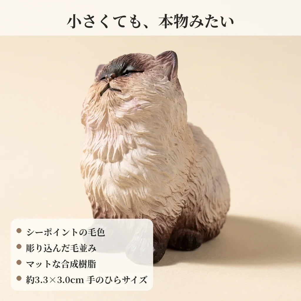 NICOMO おすましシャム猫