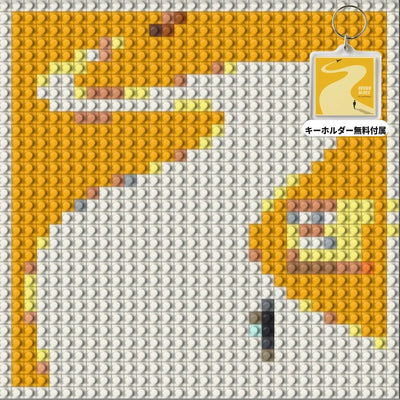 NICOMO 推しジャケブロック