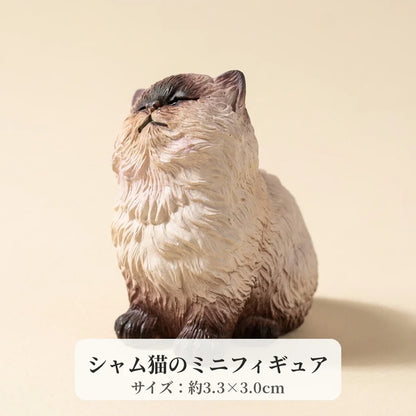 NICOMO おすましシャム猫
