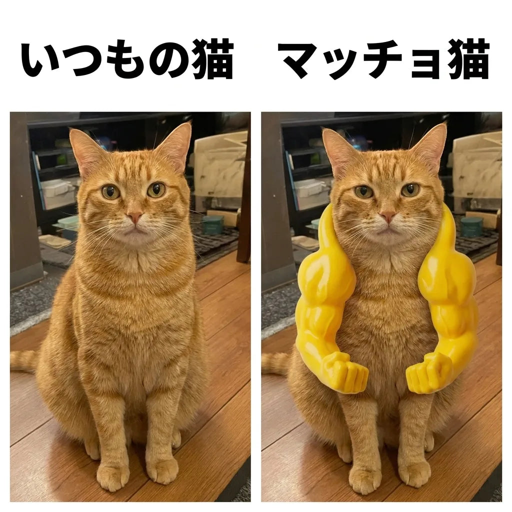 NICOMO マッチョ猫アーム