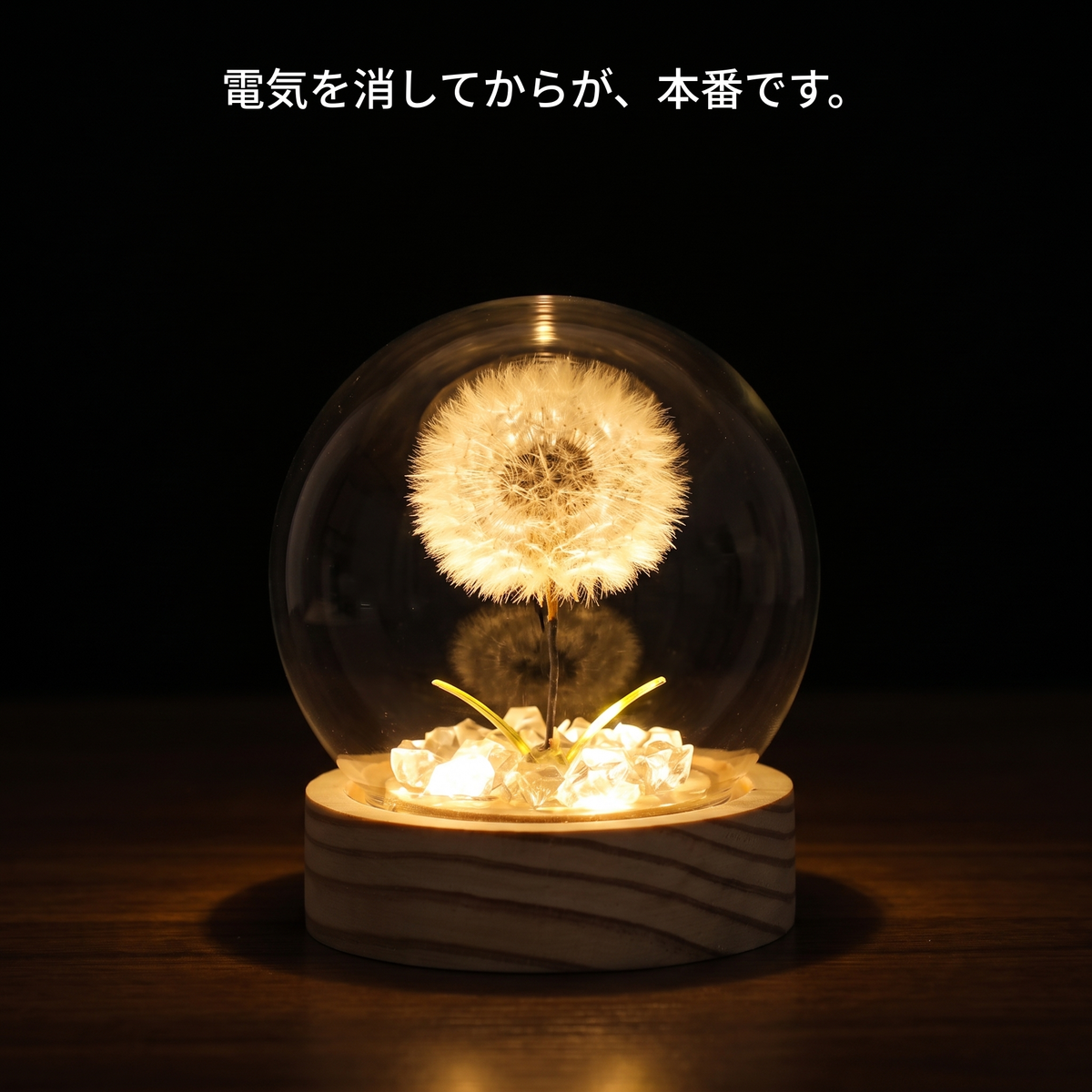 NICOMO たんぽぽドームライト