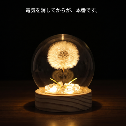 NICOMO たんぽぽドームライト