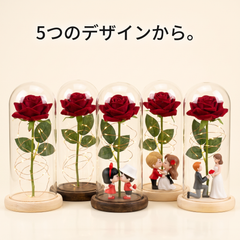 NICOMO ローズドームライト