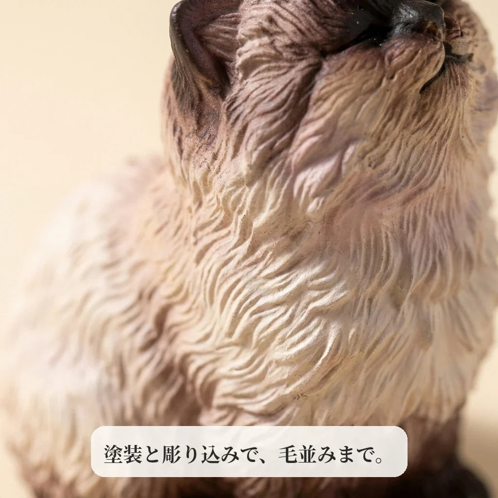 NICOMO おすましシャム猫