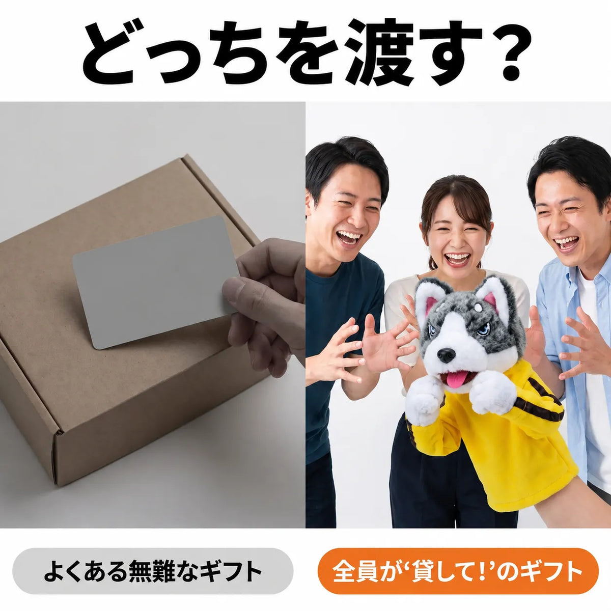 NICOMO カンフーハスキー