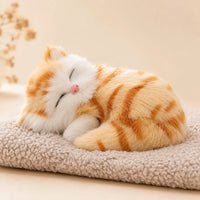 三毛猫