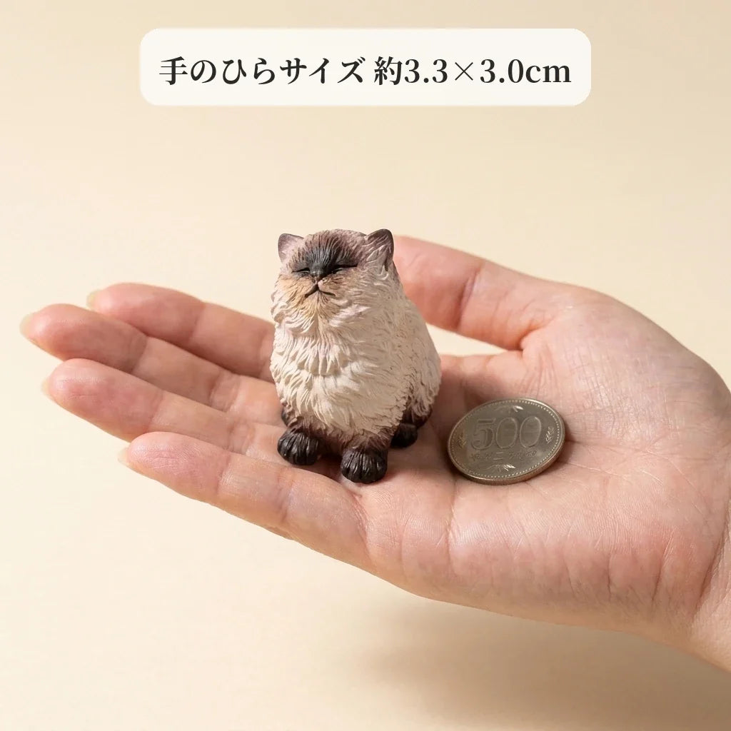 NICOMO おすましシャム猫