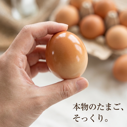 NICOMO 柴犬のたまご