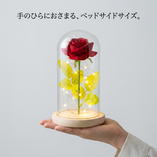 NICOMO ローズドームライト