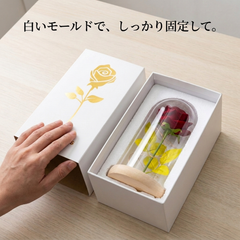 NICOMO ローズドームライト