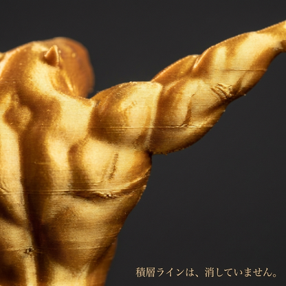 NICOMO 筋肉カピバラ